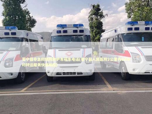冕宁县非急救转院救护车租车电话(冕宁县人民医院2公里内24小时转运服务快速响应) 转院救护车资讯